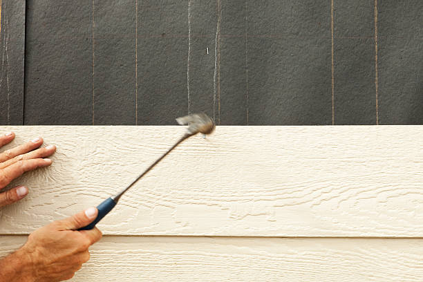 Best Insulated Siding Installation  in Cut Off, LA